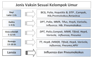 Berdasarkan kelompok umur, imunisasi bayi dibagi menjadi beberapa kelompok.