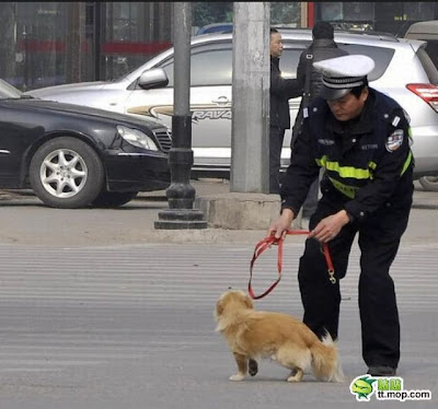 Dog And The Policeman Seen On www.coolpicturegallery.us