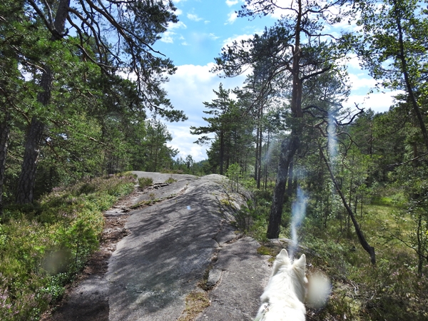 gygrastolen telemark