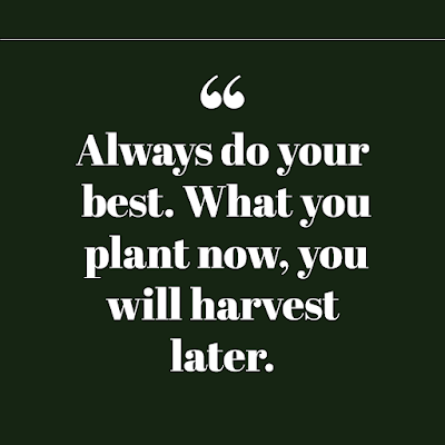 short inspirational sayings - always do your best what you plant today you will harvest later