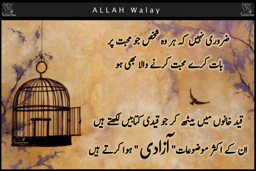 Image Result For Urdu Quotes Qismat