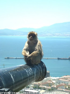 Gibraltar