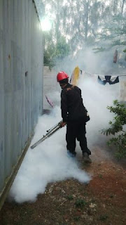 Fogging nyamuk demam berdarah Surabaya