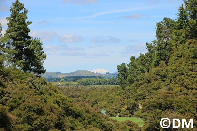 Photo d'e paysage à wai-o-tapu Rotorua Nouvelle-Zélande