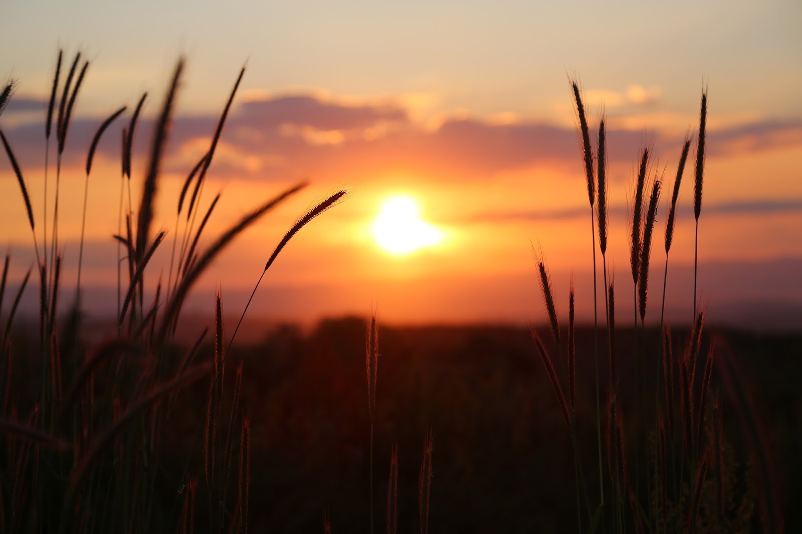 Gambar Pemandangan Senja Indah Di Mata