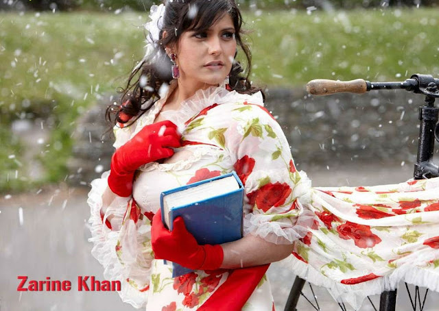 Zarine Khan HD Wallpapers Free Download