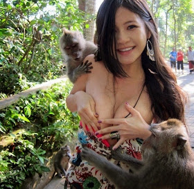 Charmian Chen, 陳維芊 (Chén wéiqiān) stripped by monkeys. The monkeys decided she was a little overdressed and pulled her dress down.