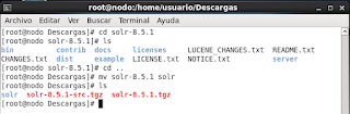 Instalar y configurar Lucene + Solr