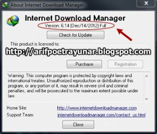 Download IDM 6.14 Final Full Version