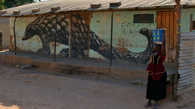 The Gambian village transformed by graffiti