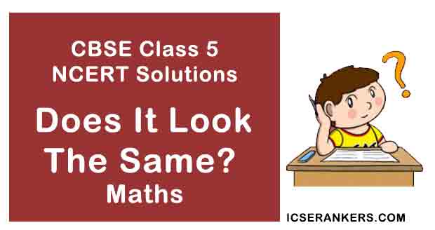 NCERT Solutions for Class 5th Maths Chapter 5 Does It Look The Same?