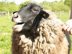 Betty, die Verschmuste