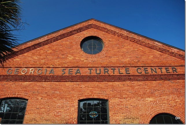 03-21-15 A GA Sea Life Turtle Center (4)