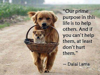 our prime purpose in life is to help others dalai lama quote