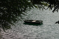 Les eaux noires du lac Pavin, Auvergne, France 2019