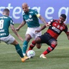 www.seuguara.com.br/Palmeiras/Flamengo/Brasileirão 2020/