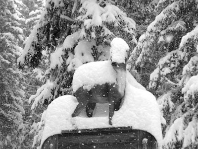 Model of a deer with a foot of snow on its head