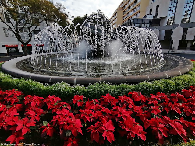 ROTUNDA DO INFANTE - FUNCHAL