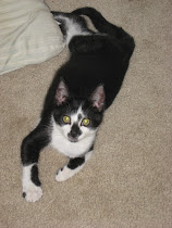 Jack