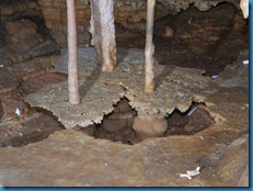 2012 06 23 Grelot Cochon Sergent (77)_800x600