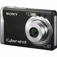 Sony DSC W90 Digital Camera