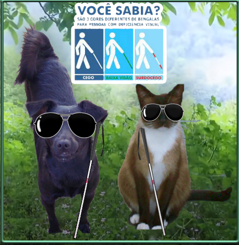 Animais cegos, o que fazer