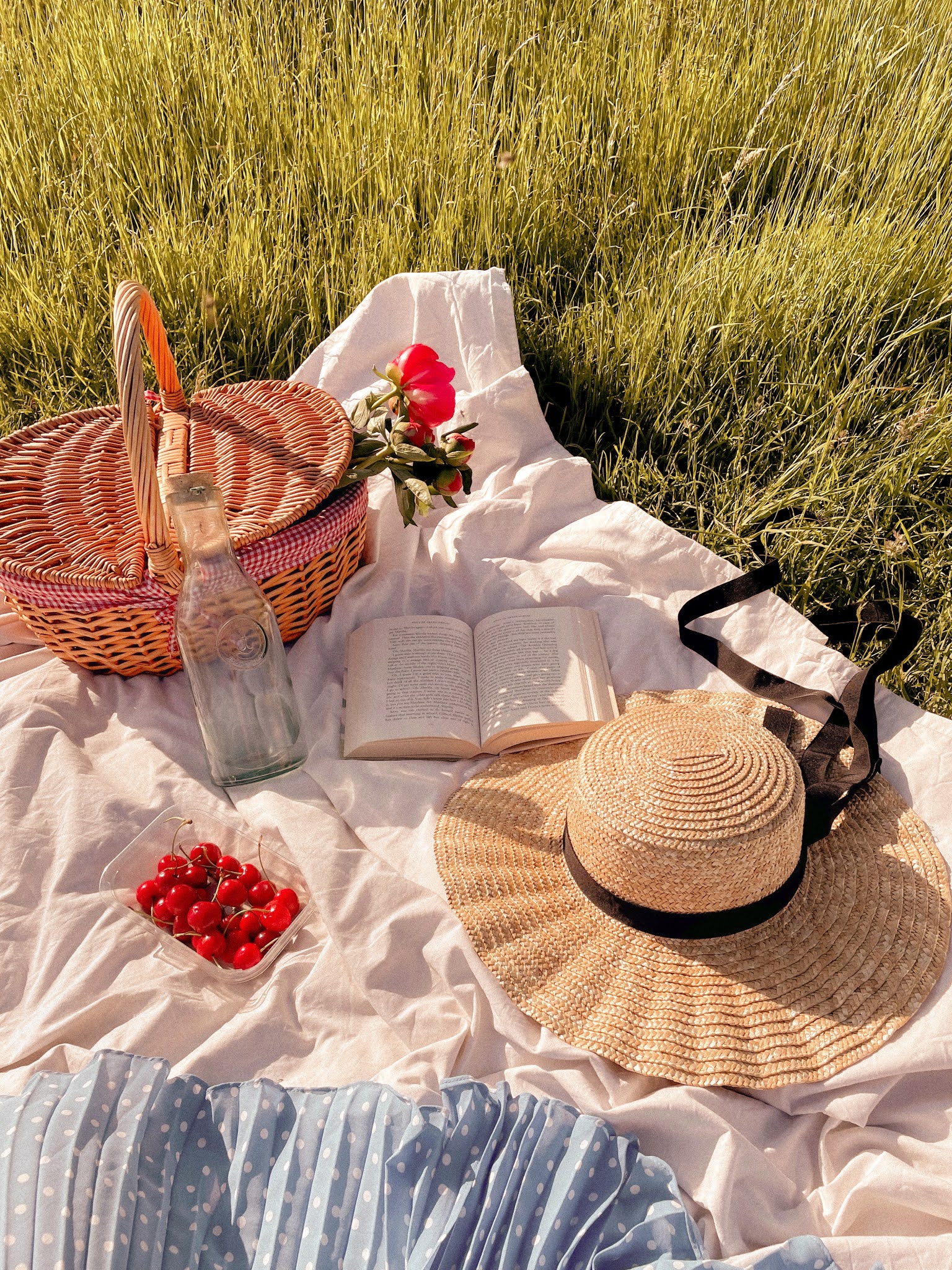 How To Create The Perfect Summer Picnic