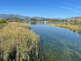 Olympic Rowing Center