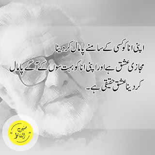 Ashfaq Ahmed Golden Quotes