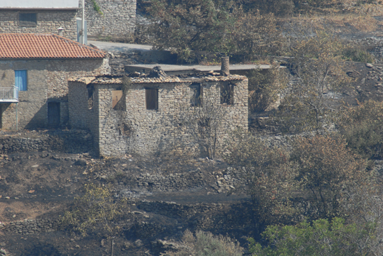 ΦΑΝΑΡΙ ΑΝΔΡΙΤΣΑΙΝΑΣ - ΗΛΕΙΑΣ : ΦΩΤΙΑ 2007 FIRE 2007
