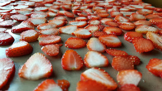 fresas deshidratadas