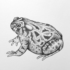 05-The-frog-pose-Stippling-Art-Drawings-Kyle-Zhang-www-designstack-co