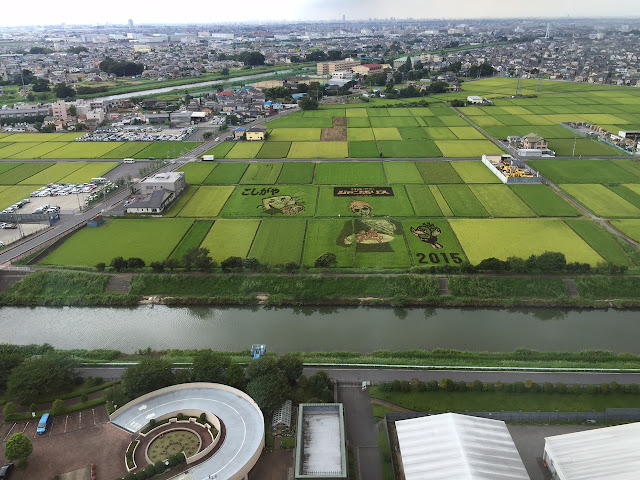 こしがや田んぼアート2015食戟のソーマ（8/23）