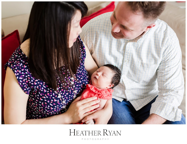 Greenbelt, MD Newborn Photography | Photos by Heather Ryan Photography