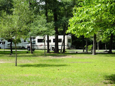 Cedar Point Campground in the Croatan Forrest in a motorhome RV in North Carolina 