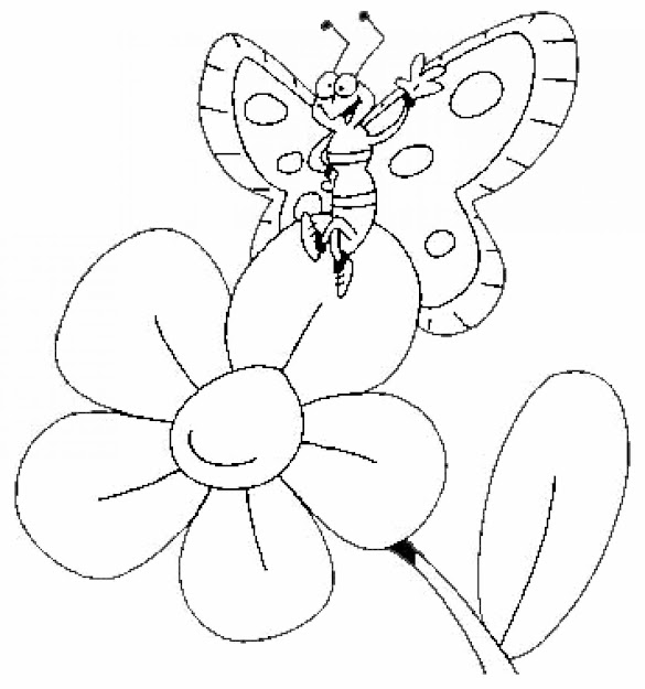 Butterfly Coloring Pages Free To Download