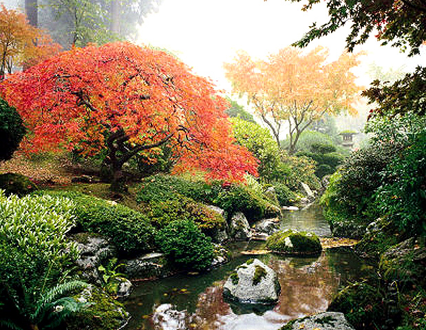 wallpaper japanese garden. Japanese gardens wallpaper 1