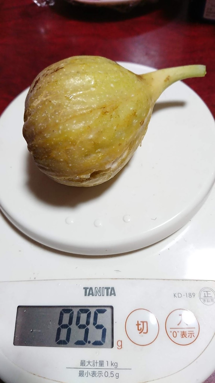 園芸知恵袋 バナーネイチジクの夏果 収穫報告
