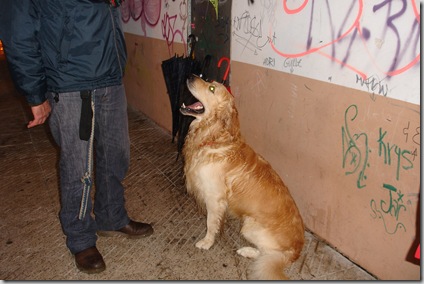 Otto pidiendo permiso