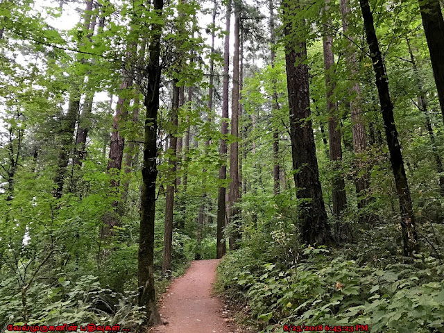 Powell Butte Nature Park