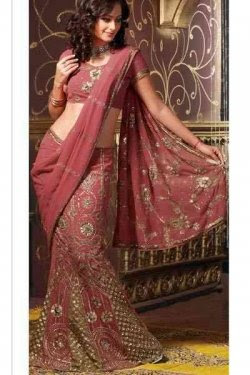 Beautiful-Pink-Lehenga-Choli