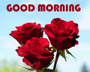 Romantic Good Morning Red Rose Image