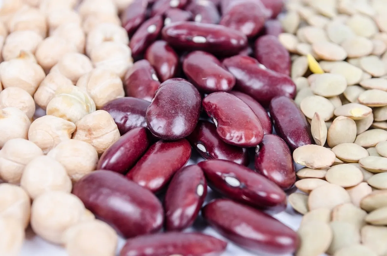 Plant-based protein sources have gained significant popularity among individuals following a vegan lifestyle. These sources provide essential amino acids required for the body's growth, repair, and maintenance. Legumes, such as lentils, chickpeas, and black beans, are excellent vegan protein sources. They are not only rich in protein but also contain dietary fiber, vitamins, and minerals. Additionally, soy products like tofu, tempeh, and edamame are highly versatile and provide a complete protein profile. These plant-based proteins can be easily incorporated into various dishes, making them a staple in vegan diets.  Nuts and seeds are another valuable source of protein for vegans. Almonds, walnuts, chia seeds, and hemp seeds are packed with protein, healthy fats, and other essential nutrients. They can be consumed as a snack, added to smoothies, or used as toppings for salads and cereals. Moreover, whole grains like quinoa, brown rice, and oats also contribute to the protein intake of vegans. These grains not only provide protein but also offer dietary fiber, vitamins, and minerals, making them a nutritious choice for a well-rounded vegan diet.  Various vegetables also contain protein, although in smaller amounts compared to legumes, soy, nuts, and seeds. Broccoli, spinach, Brussels sprouts, and peas are examples of vegetables that provide a decent amount of protein. Additionally, some vegan protein powders, such as pea protein, rice protein, and hemp protein, can be used as supplements to meet protein requirements. These powders are derived from plant sources and can be easily mixed into smoothies or used in baking recipes. Overall, a well-planned vegan diet can provide an adequate amount of protein from a variety of plant-based sources, ensuring that individuals following this lifestyle meet their nutritional needs.