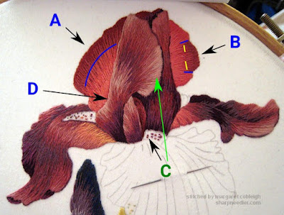 Thread painted iris upper petals annotated - Iris Spartan (design by Trish Burr)