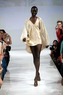 Alek Wek Photos