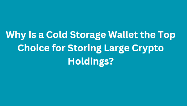 Why Is a Cold Storage Wallet the Top Choice for Storing Large Crypto Holdings?
