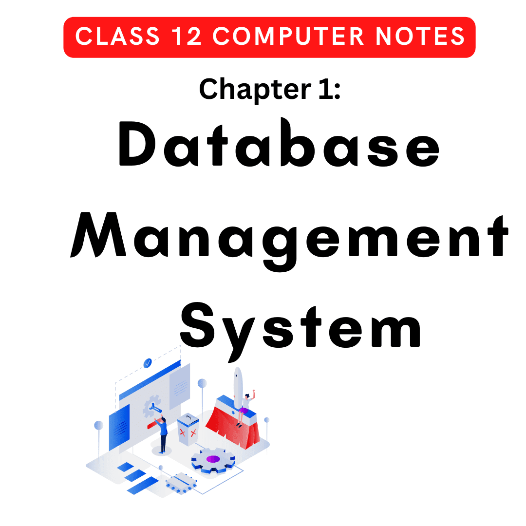 Database Management System Notes | Class 12 Computer