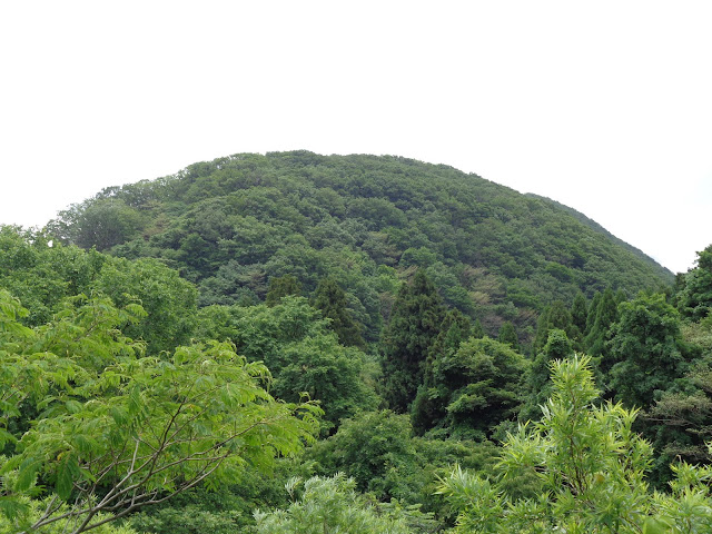 香取展望駐車場近くの大山環状道路から丸く見える山