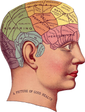मेटासंज्ञान : अच्छी स्मृति [Good Memory] की विशेषताएं | PQRST Method in Hindi