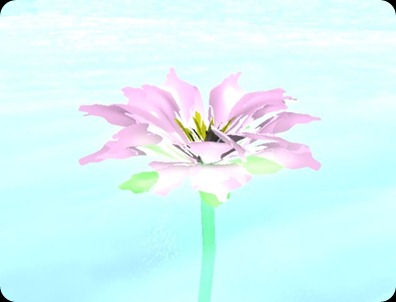 Flower 1